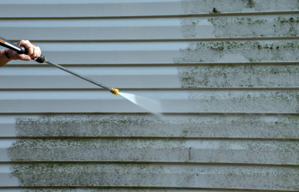 Deck Cleaning Services in Shell Lake, WI