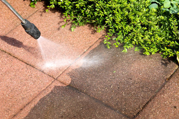 Best Affordable Power Washing  in Shell Lake, WI